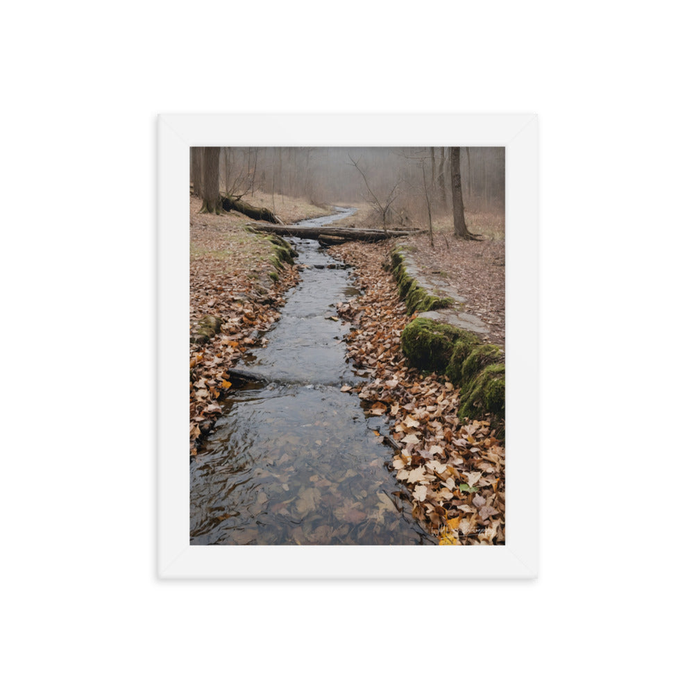 Woodland Stream - Framed Paintography