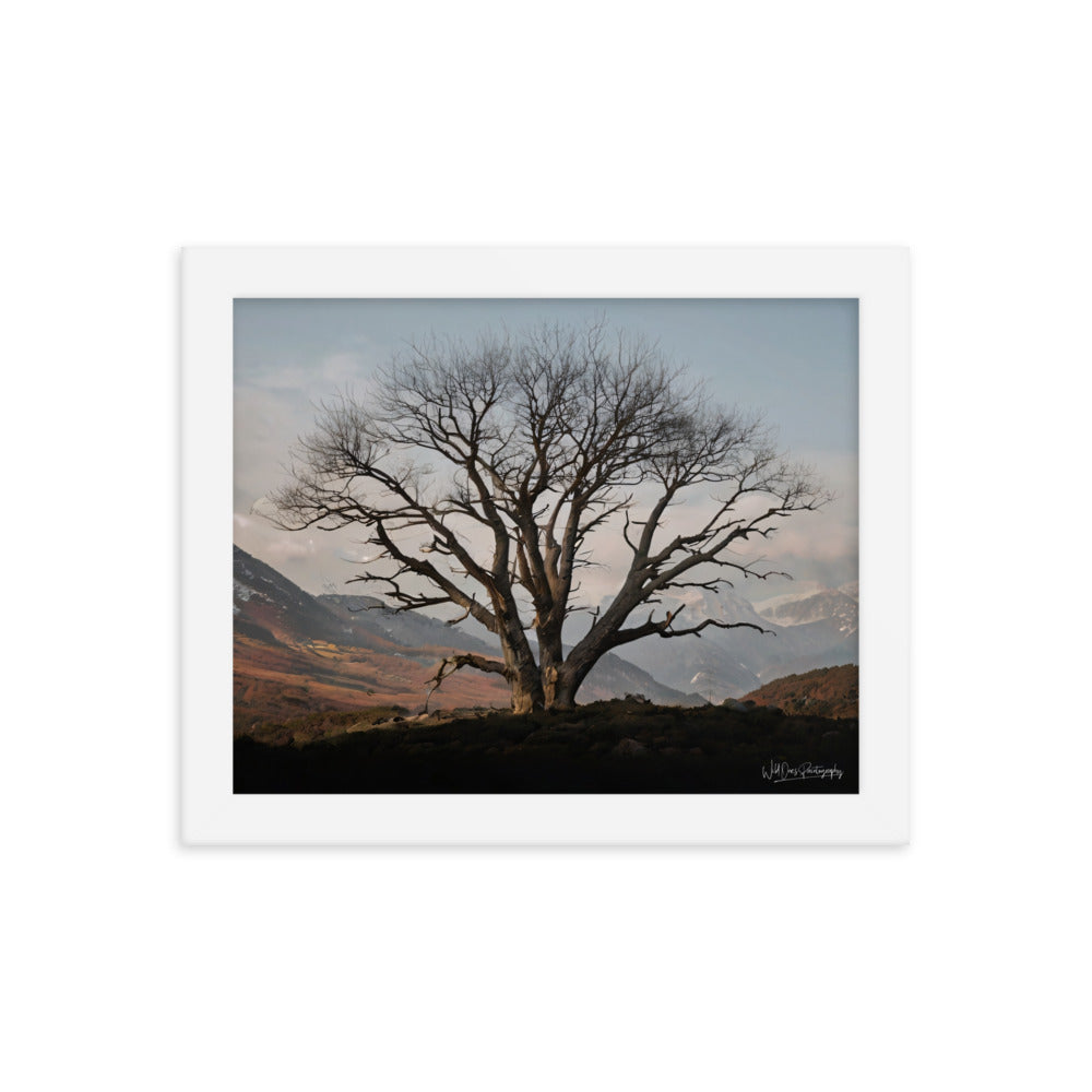 Withstand Time - Framed Paintography