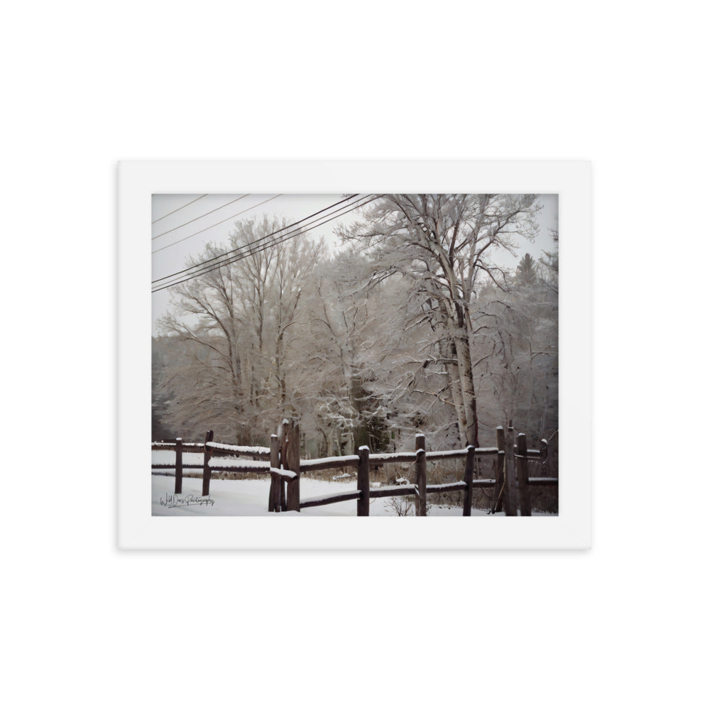 Winter Wonder - Framed Paintography