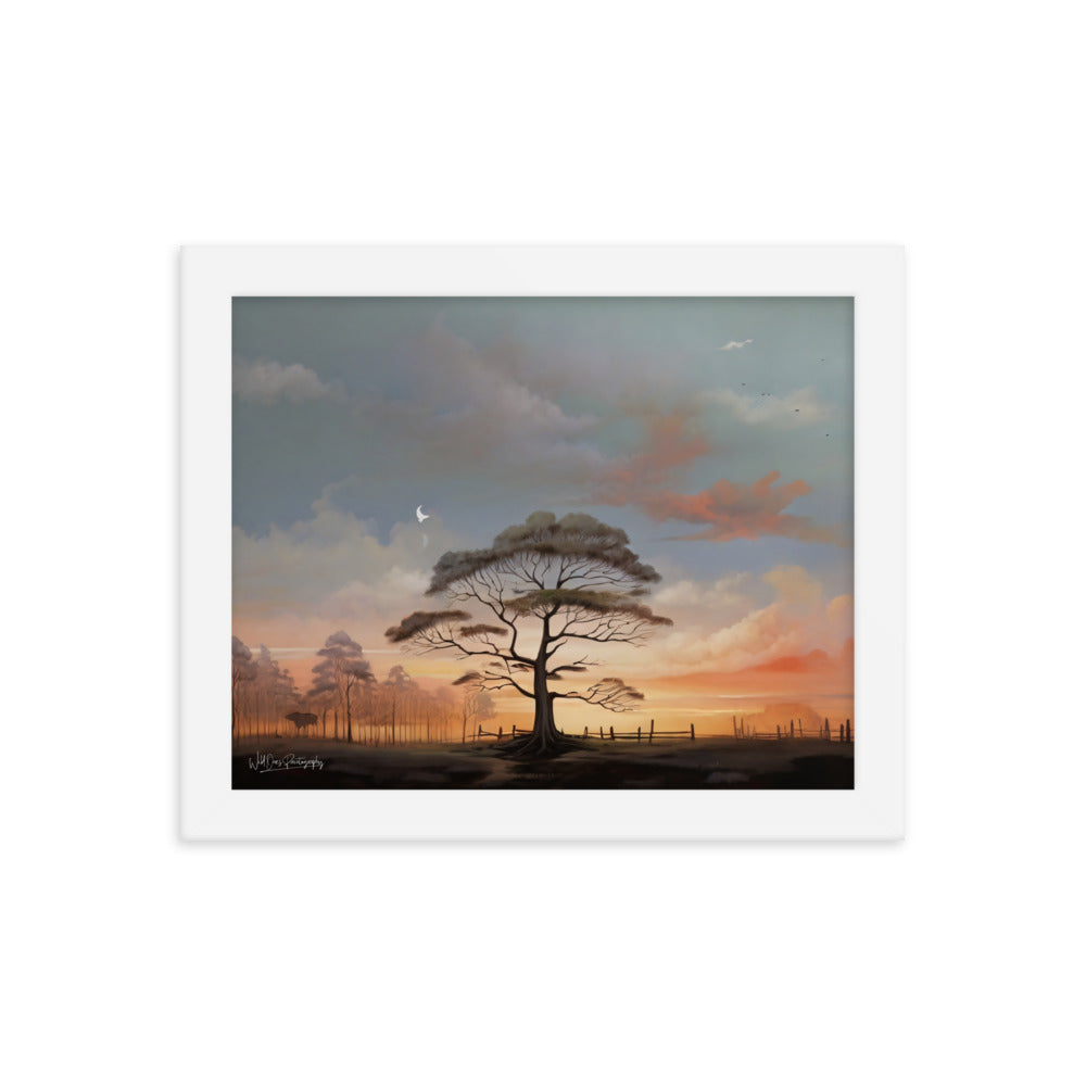 Solo Canopy Sunset - Framed Paintography