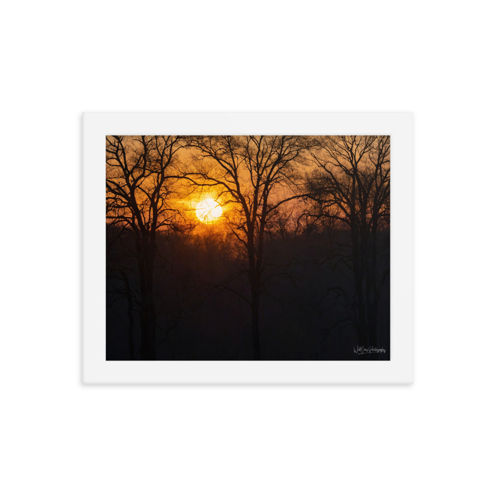 Setting Sun - Framed Paintography