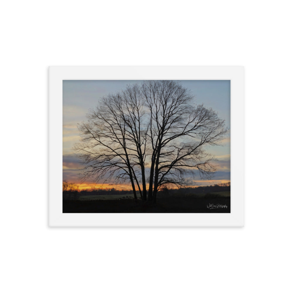 Setting Sun Tree - Framed Paintography