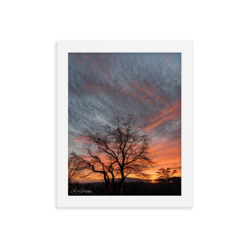 Scenic Sunset - Framed Paintography