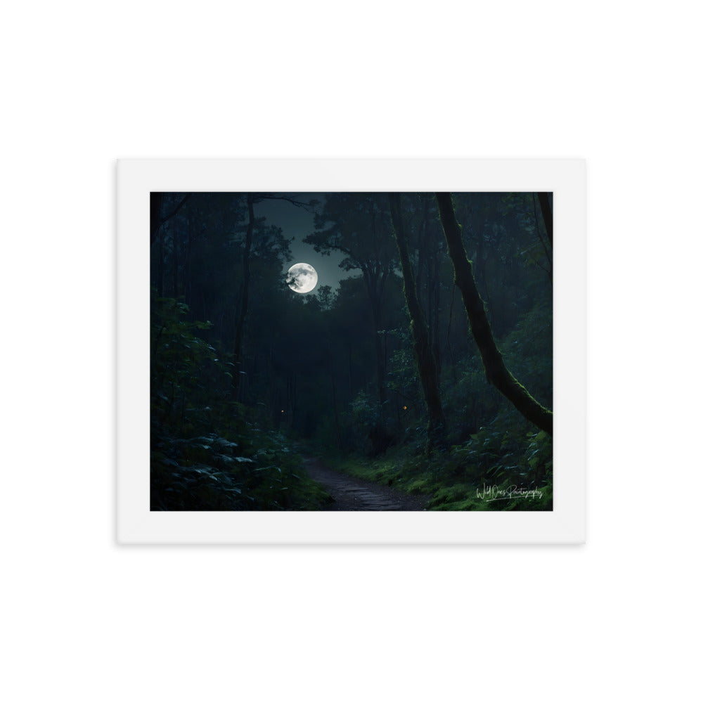 Moonlit Pathway - Framed Paintography