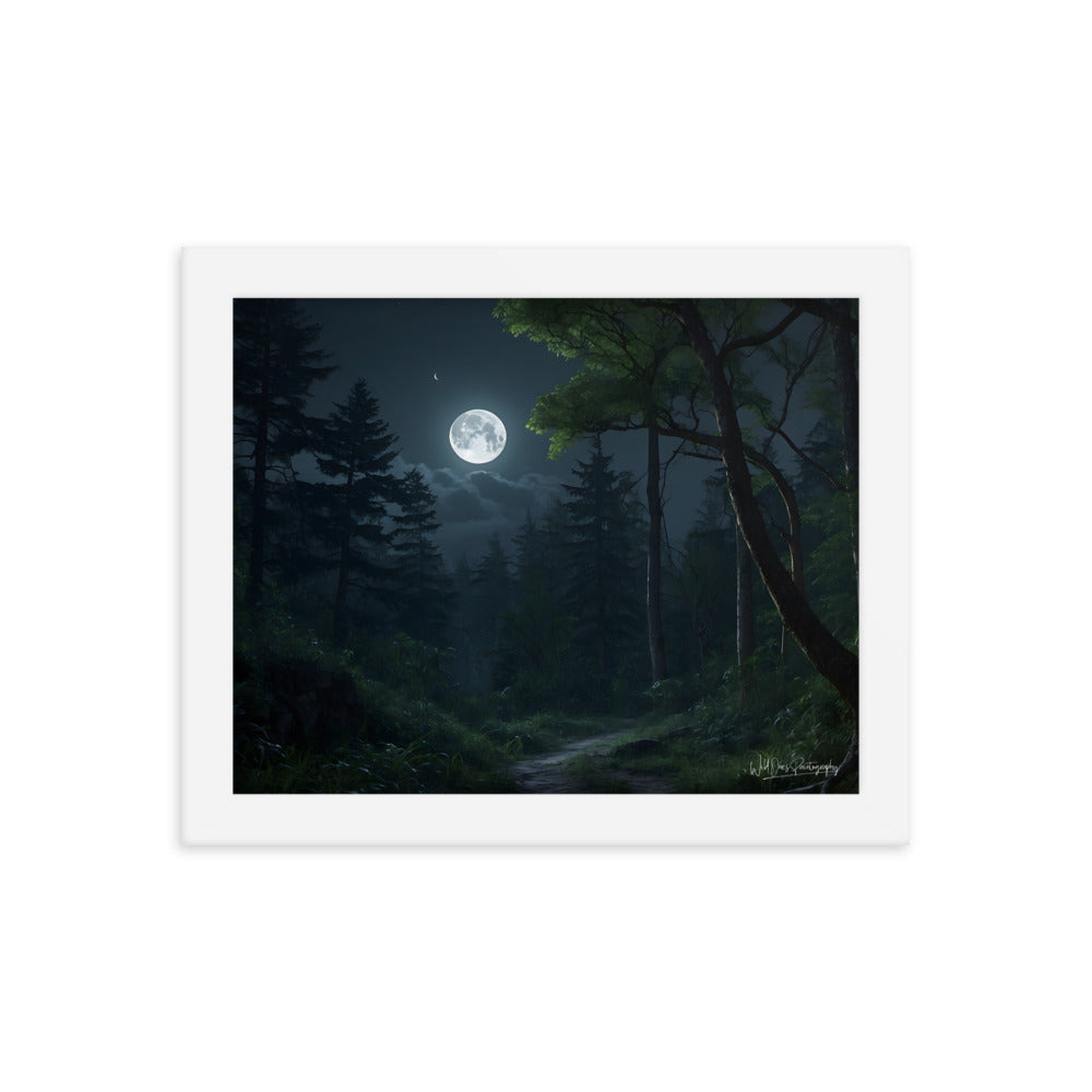 Moonlit Path - Framed Paintography